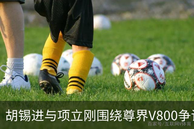 胡锡进与项立刚围绕尊界V800争论：民族汽车的底线与消费者的权益